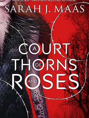 What happened in A Court of Thorns and Roses? (A Court of Thorns and Roses #1)