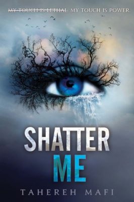 what happened in shatter me