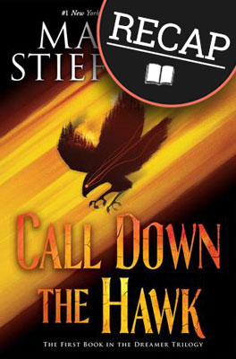 what-happened-in-call-down-the-hawk