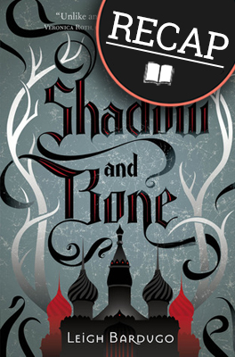 What happened in Shadow and Bone? (The Shadow and Bone Trilogy #1)