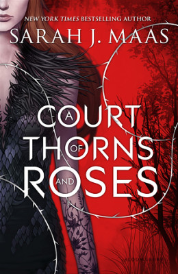 what happened in a court of thorns and roses