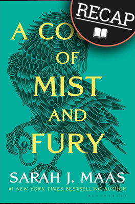 What happened in A Court of Mist and Fury? (A Court of Thorns and Roses #2)