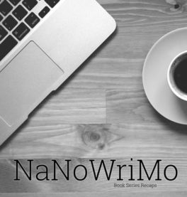 nanowrimo - connect with other writers