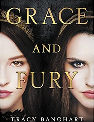 What happened in Grace and Fury (Grace and Fury #1)