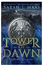 tower of dawn summary